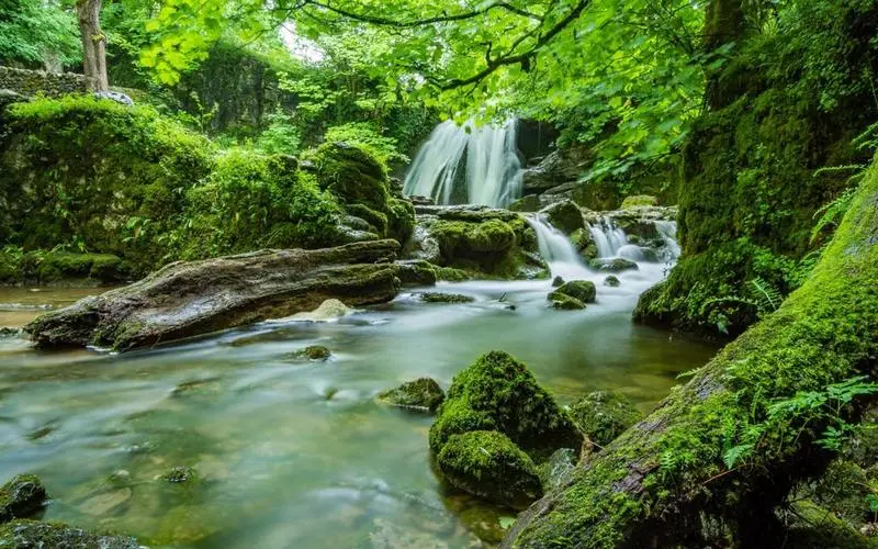 高性能高效智慧